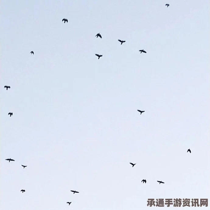 英国风暴中的乌鸦群飞现象，观察与记录技巧方法探究