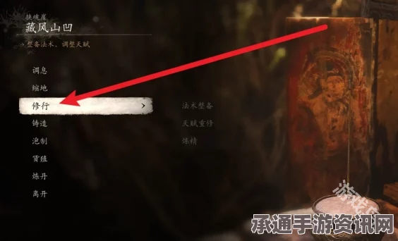 黑神话，悟空铁中血的使用技巧详解及问答环节