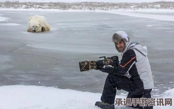 俄男子向北极熊扔活狗引发争议，目击者称行为实为救人？探究真相与应对之道