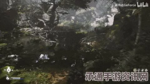解决黑神话悟空开DLSS问题的技巧与方法