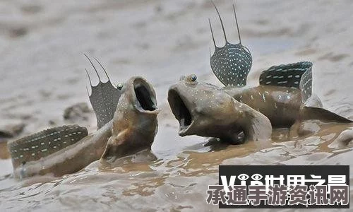 新西兰海滩惊现奇异鱼类，独特外貌引热议—超级大眼与隆起背部揭秘