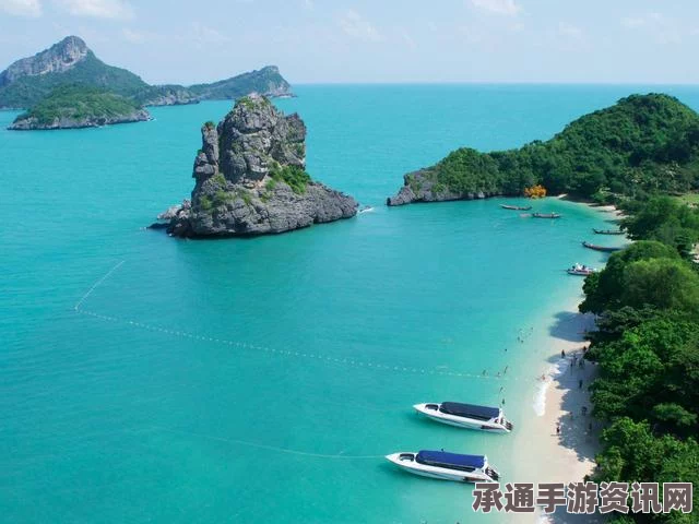 新西兰海滩惊现罕见深海长尾鲨，独特特征揭秘与互动问答环节