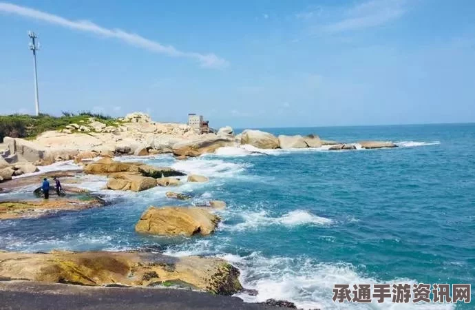 新西兰海滩罕见深海长尾鲨现身，独特特征吸引目光—技巧解读与问答环节