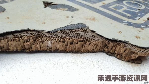 莫桑比克发现飞机残骸，方位与MH370漂流模型高度吻合，探寻事件背后的技巧与方法