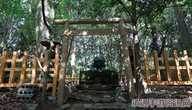 阴阳师SSR新式神天照技能属性解析与攻略，高天原之主天照的深度介绍