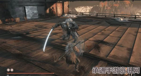 黑神话悟空不净影神图揭秘，攻略详解与实战问答探索