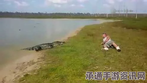 男子湖边遭鳄鱼袭击瞬间及应对技巧揭秘（图文详解）