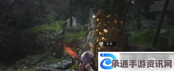 黑神话悟空，落伽香藤刷新机制详解与攻略技巧分享