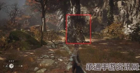 黑神话，悟空落伽香藤使用指南及技巧解析