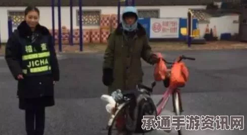 酒后骑车安全挑战与韩国罚款背后的考量，网友建议穿旱冰鞋的技巧方法和安全须知