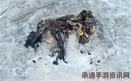 印度士兵冰雪埋困一周奇迹生还，气穴呼吸技巧显神奇
