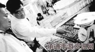 印度男子地产纠纷引发家庭惨案，15人丧生后的反思与启示