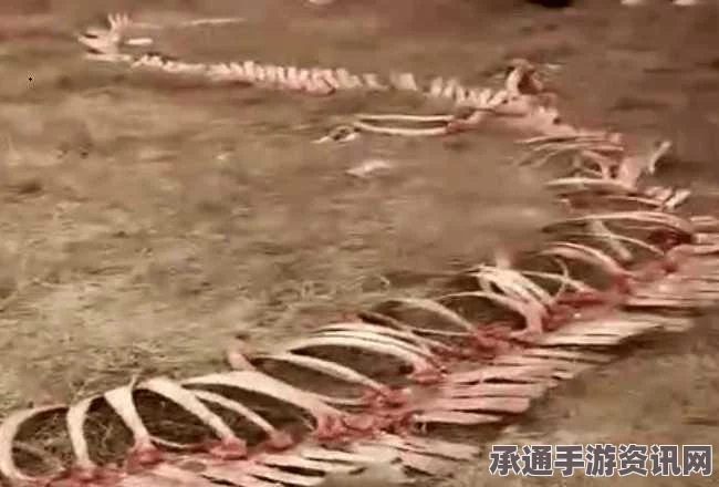 黑神话，悟空摇山爪获取攻略及实用技巧详解