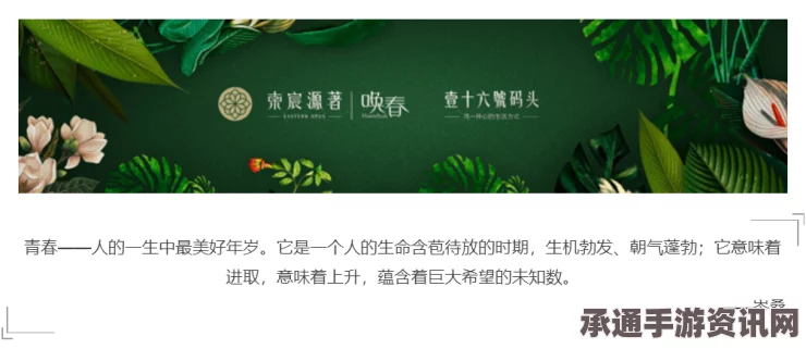 欢欣森活游戏开发公司介绍，探索技巧与方法，洞悉游戏行业的未来趋势