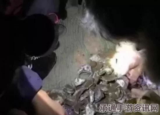 外媒报道揭示，中国农村阴婚现象引发女尸被盗，黑市尸骸价格攀升—深度解析与应对技巧