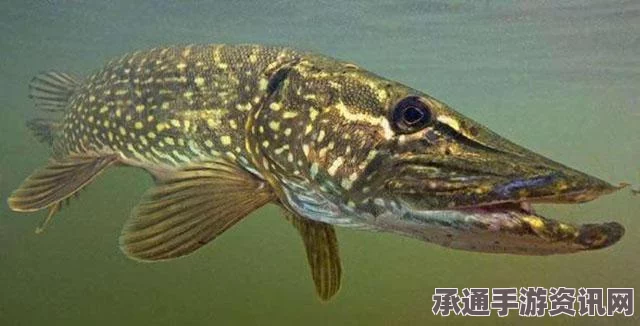 英国三岁幼儿独自留守母亲尸体旁三日之谜，死因调查与背后的故事