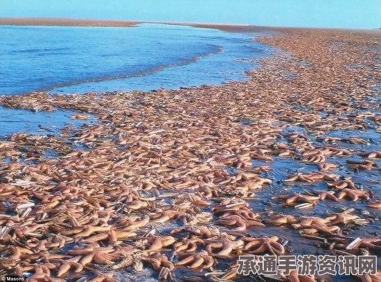 英国三岁幼儿独自陪伴母亲尸体三日之谜，死因深入调查