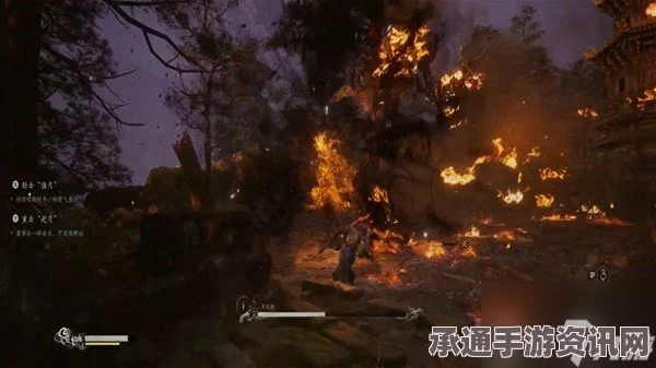 揭秘黑神话悟空中的黑熊精影神图，技巧与方法详解