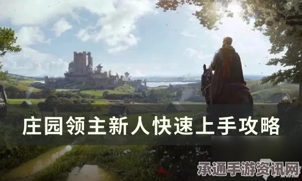 庄园领主重建和平速胜攻略，策略与技巧全面解析