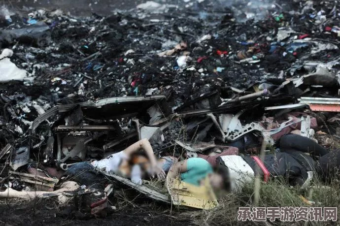 MH370失联事件家属起诉马航获立案，索赔应对技巧与方法探讨，索赔额达470万元