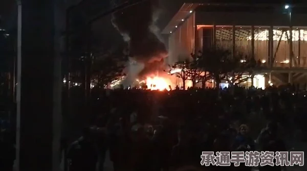 南非西北大学暴力示威事件的深度解析，应对方法与事件反响探讨