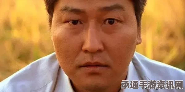 韩京畿道高速连环车祸事件，事故处理技巧与方法深度解析