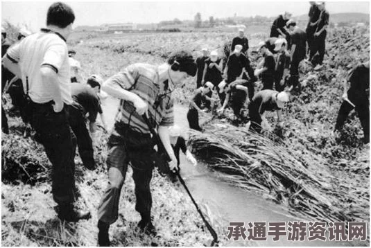 韩京畿道一高速连环车祸事件，深度解析事故处理技巧与方法