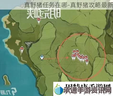 颂钟长鸣野猪刷取攻略及位置介绍