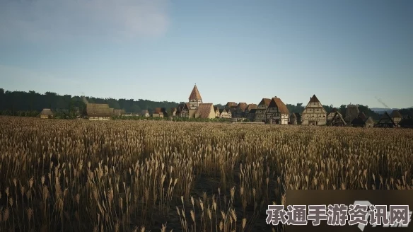 庄园领主遭遇作物消失之谜，原因解析与应对之策