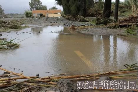 美国南部龙卷风肆虐，灾难应对与现场实况揭秘