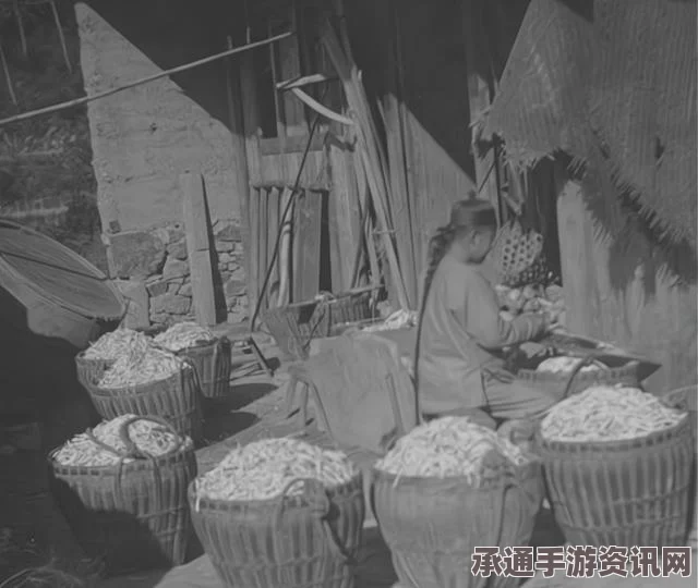 饥荒食谱大全，掌握最新食物配方技巧与图鉴分享