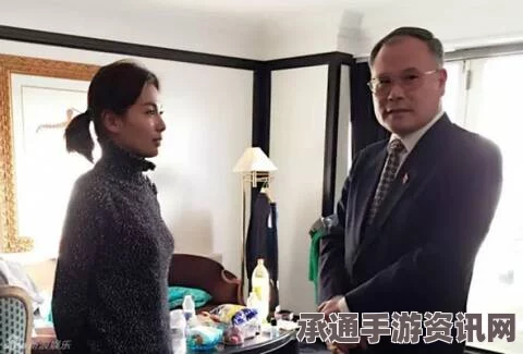 刘涛在丹麦被盗珠宝案最新进展，小偷被判入狱十个月—案件分析与应对技巧方法探讨