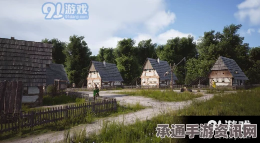 庄园领主燃料市场供应不足解决方法及策略探讨