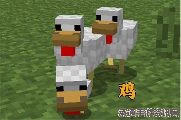 庄园领主畜牧养殖攻略，高效养殖技巧大解析