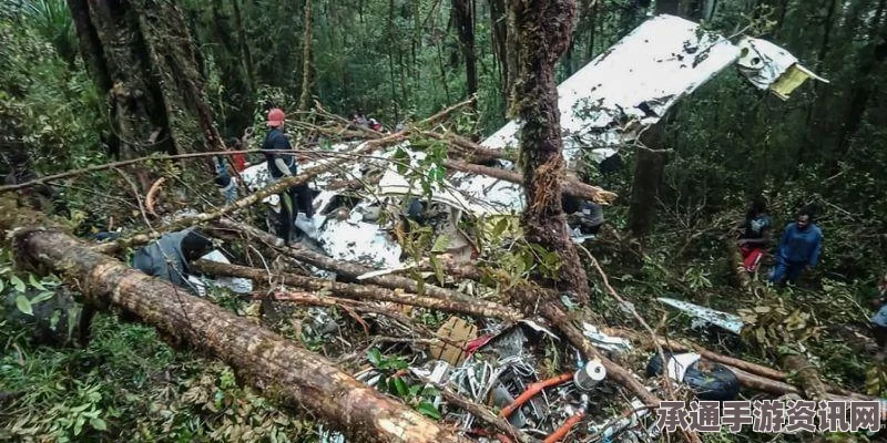 尼泊尔失踪客机确认坠毁山林中，事件解析与应对技巧