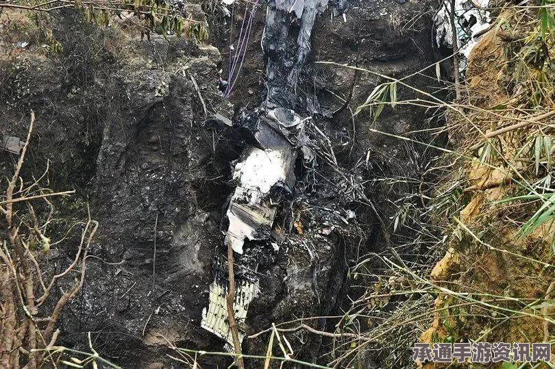 快讯，尼泊尔失踪客机确认坠毁山林中，残骸发现—解析应对此类事件的技巧方法