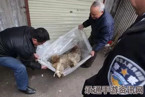 罗马尼亚警方查获大量过期冷冻肉，应对食品安全挑战的技巧与方法