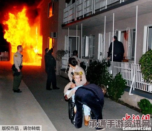 美国纵火案，消防员职业道德与法律界限的探究