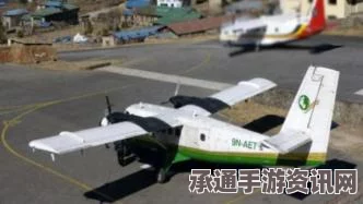 尼泊尔客机失联事件，危机应对方法与技巧深度探讨