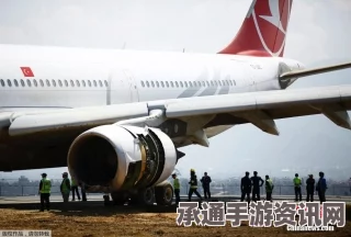 尼泊尔客机失联事件，应对危机的方法与技巧探讨