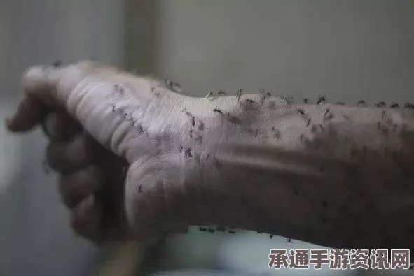 巴西寨卡疫情下的防蚊行动，亲历者的实地观察与应对技巧分享