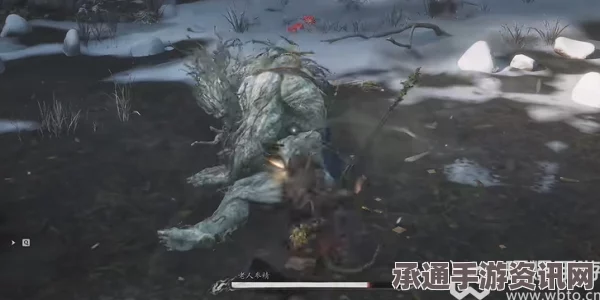 黑神话悟空，衣甲与山珍蓑衣获取攻略与技巧方法指南