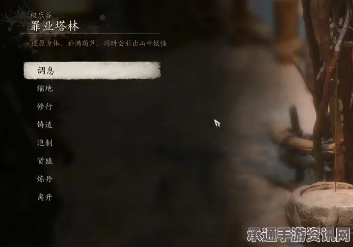 黑神话悟空，衣甲与山珍蓑衣获取攻略及技巧方法