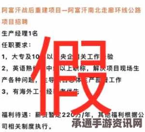 新西兰高薪职位无人应聘现象深度解析，挑战高薪工作与求职策略探索
