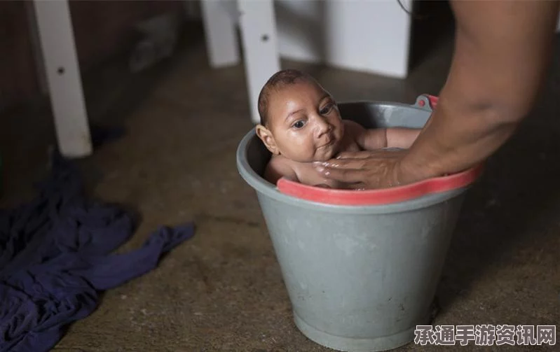 巴西卫生部报告，小头畸形症影响五百多名婴儿—预防与应对技巧方法探讨