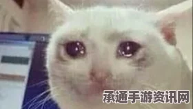 原神帽帽猫魔术大巡回活动攻略与DIY活动详解