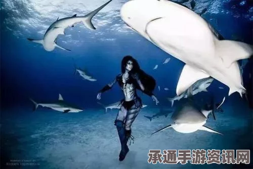 斐济飓风灾难，应对技巧与当前形势分析