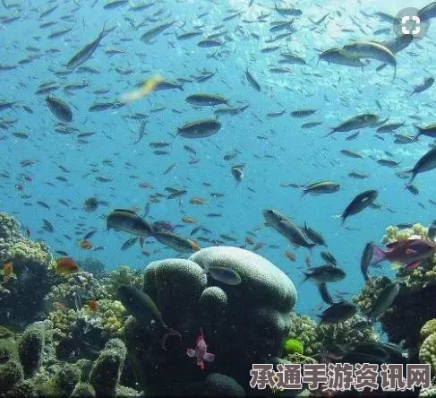 斐济飓风灾难，应对灾难的技巧与当前状况