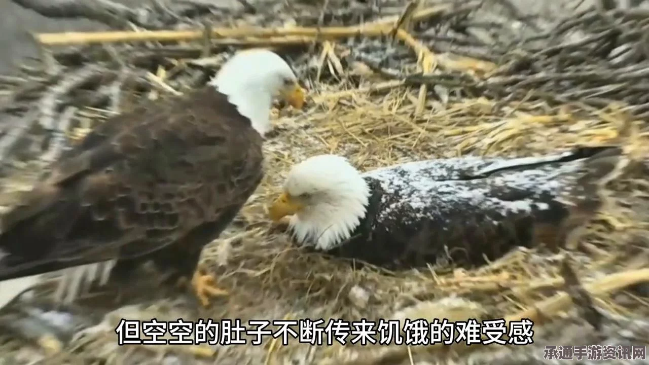 天天酷跑暴风雪女雪花高分攻略解析，获取技巧揭秘