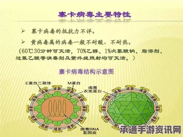 寨卡病毒与斐济灾难，灾后应对策略与技巧方法探讨